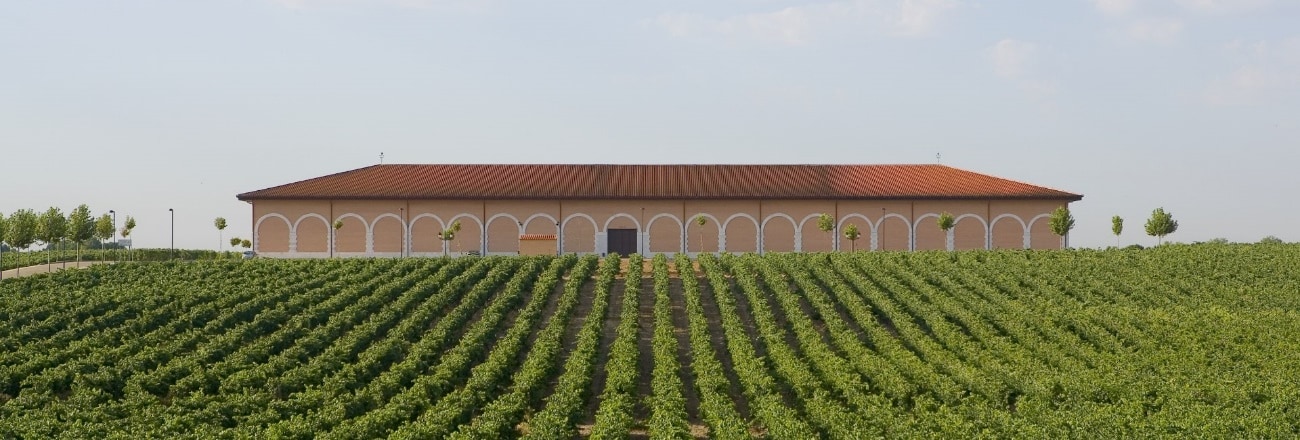 bodegas_museum panorámica bodega