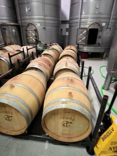 Hermosa visita de la bodega de vinos Pomar @bodegaspomar Los primeros Pomar de los que hay referencia en la provincia de Burgos, fueron oriundos de Galicia, hace 4 siglos, grandes canteros que ...