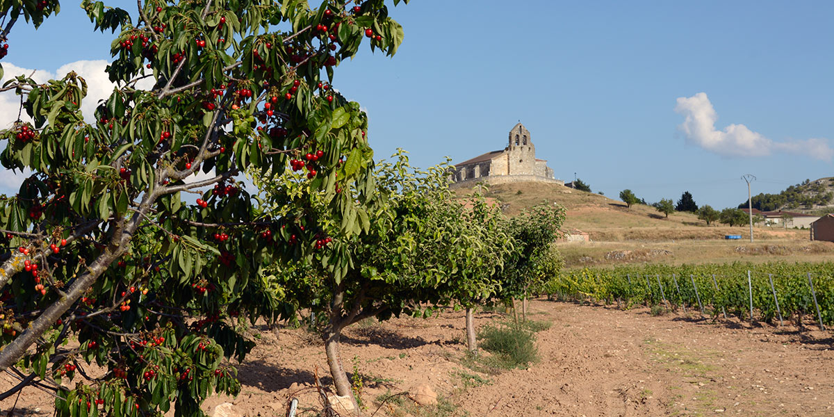 paisaje4-1