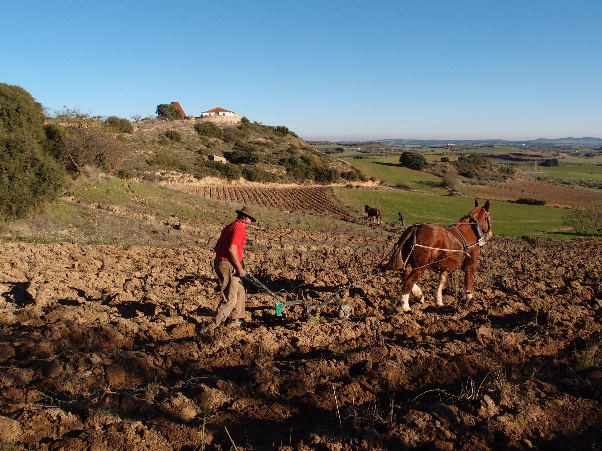Enoturismo - Bodegas Emilio Valerio | Peñín - Peñín digital