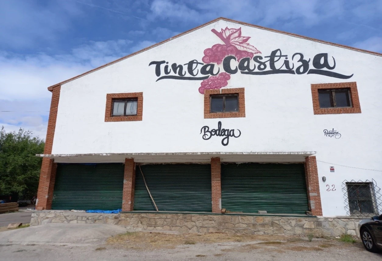 Bodega TINTA CASTIZA (El Molar, Madrid)