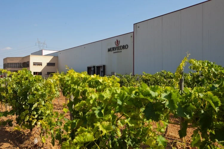 Bodegas MURVIEDRO (Requena-Valencia)