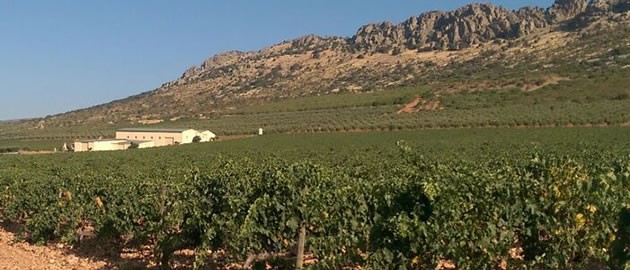 Bodega PAGO FLORENTINO (Malagón, Ciudad Real)