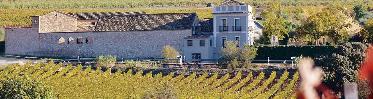 Bodega MUSTIGUILLO – PAGO EL TERRERAZO (Utiel, Valencia)