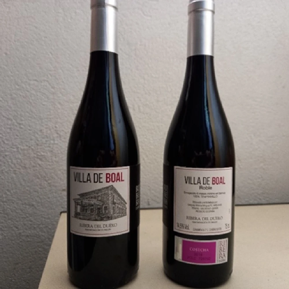 VILLA DE BOAL 2020