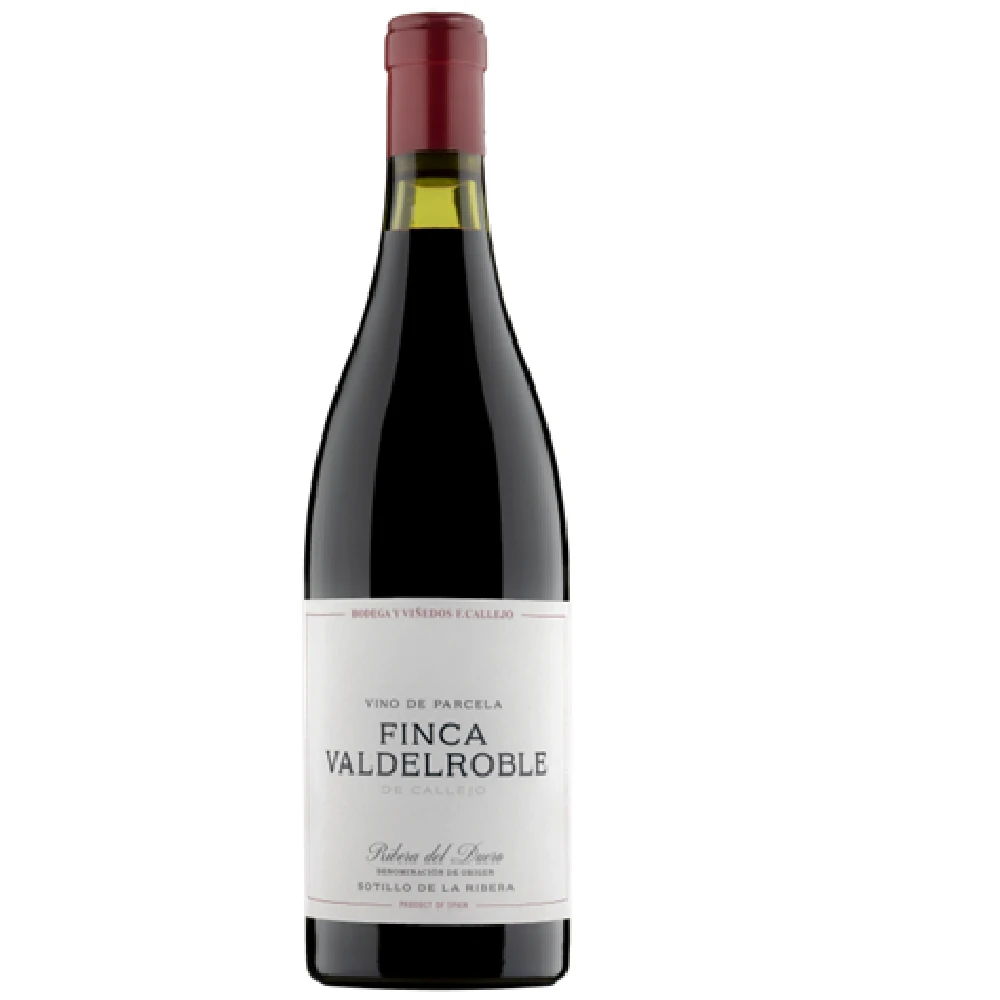 FINCA VALDELROBLE